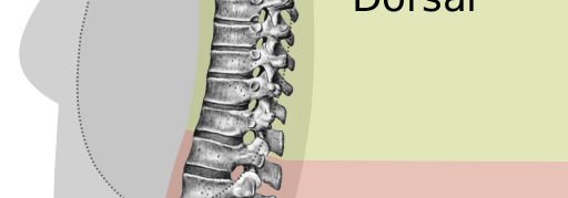 When Can Chiropractic Help and When It Cannot